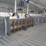 a set of hog feeders