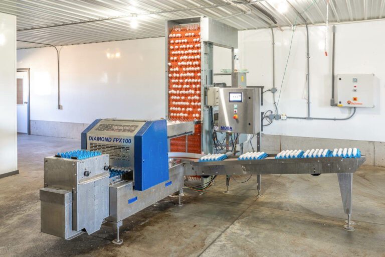 egg packing machine