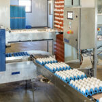 An egg packing machine