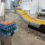 egg packing machine