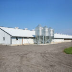Newly constructed duck barn with Big Dutchman grain bins in Middlebury, Indiana