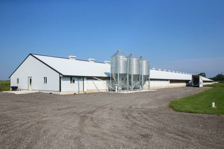 Newly constructed duck barn with Big Dutchman grain bins in Middlebury, Indiana