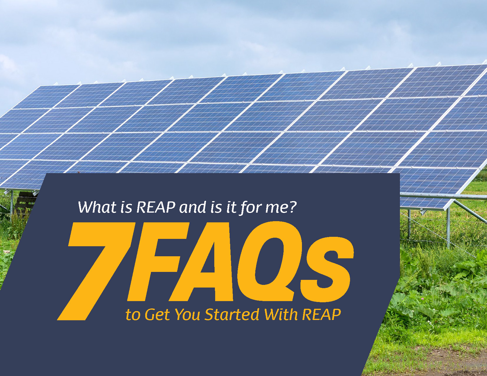 7-FAQs-to-get-you-started-with-REAP-cover