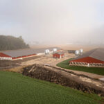 Two barns in the early morning mist