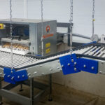 An egg elevator in a packing setup