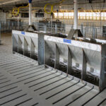 A hog barn setup