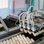 An egg packing machine