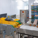 An egg packing setup