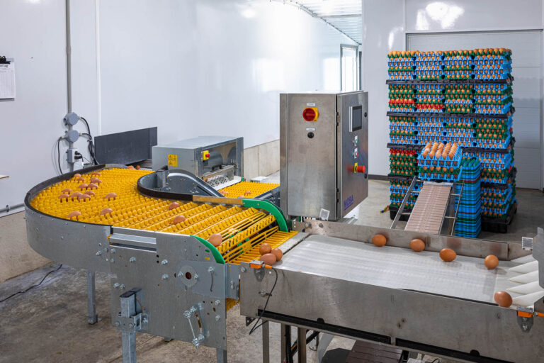 An egg packing setup