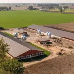 Arial view of two large red ag barns