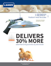 I Series High Pressure Radiant Brooder Heater PDF Cover