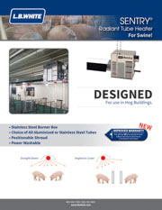 Sentry Radiant Heat Tube Heater PDF cover